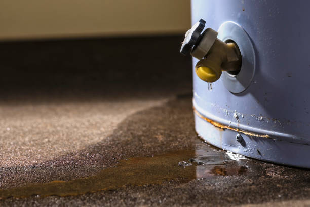  South Greeley, WY Water damage restoration Pros