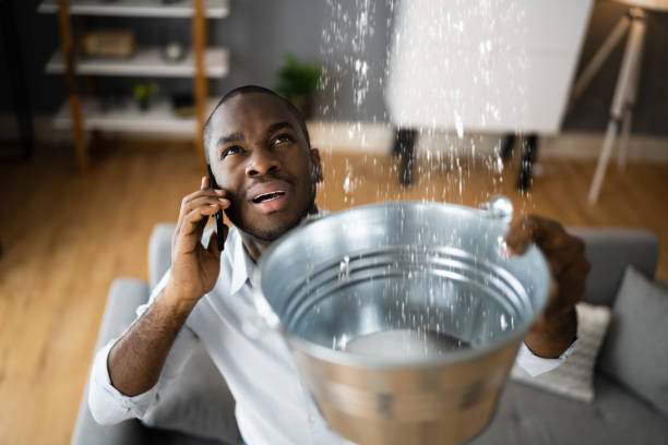 Best Water damage restoration specialists  in South Greeley, WY