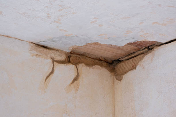 Best Water damage cleanup near me  in South Greeley, WY