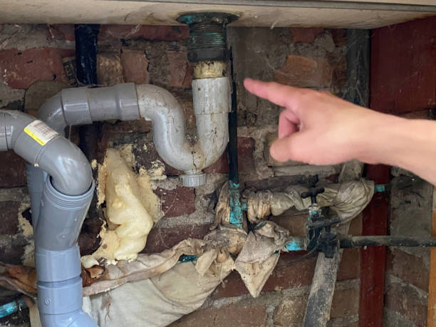 Best Water damage restoration insurance claims  in South Greeley, WY