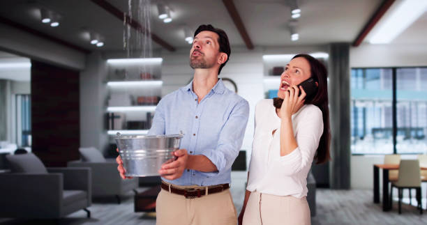 Best Water damage restoration company  in South Greeley, WY