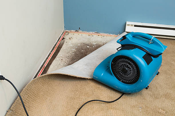 Best 24/7 water damage repair  in South Greeley, WY